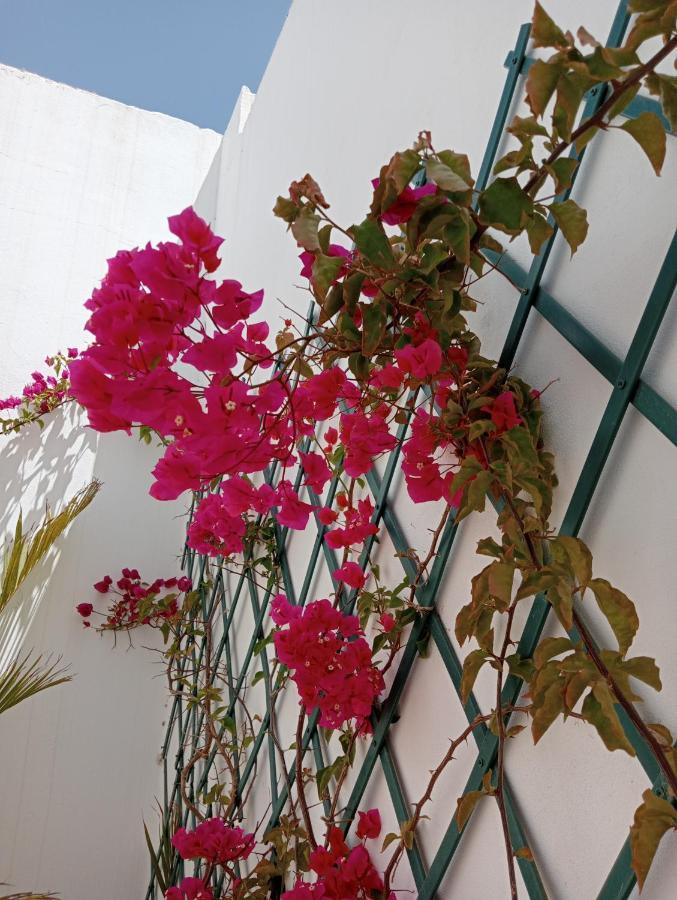 Casa Mocan * Arrecife (Lanzarote)